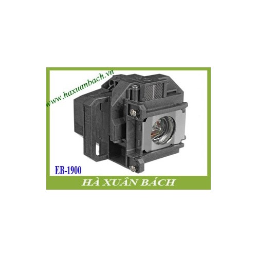 VN135A6-180503-702.jpg