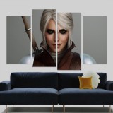 ciri-er