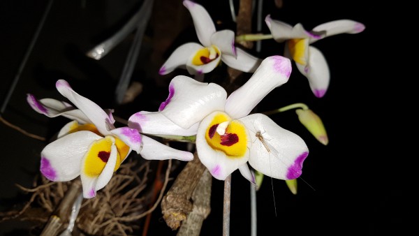 20190220_205037.jpg