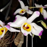 20190220_205037