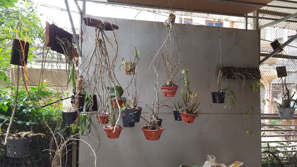20190222_113751.jpg
