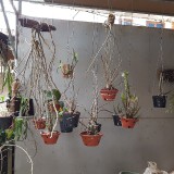 20190222_113751