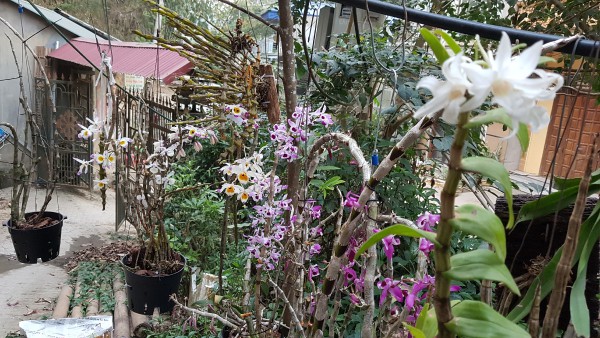 20190303_175724.jpg