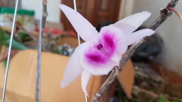 20190518_092359.jpg