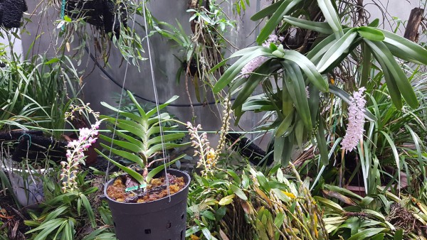 20190529_172917.jpg