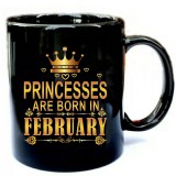 Princesses-Are-Born-In-February-shirt