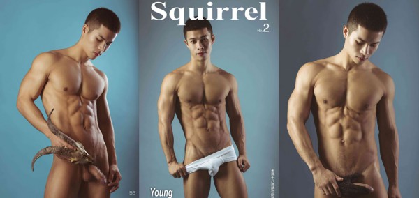 Squirrel 02